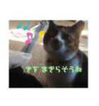 みととん（個別スタンプ：2）
