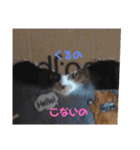 みととん（個別スタンプ：7）