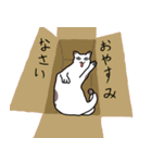 すくすく猫（個別スタンプ：16）