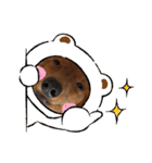 こむぎの感じ（個別スタンプ：16）