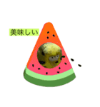 インコピーチの可愛いスタンプ（個別スタンプ：8）