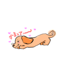 かまってわんこ。（個別スタンプ：1）