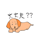 かまってわんこ。（個別スタンプ：8）