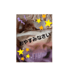 ララらぶスタンプ（個別スタンプ：4）