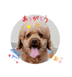 ララらぶスタンプ（個別スタンプ：5）