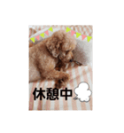 ララらぶスタンプ（個別スタンプ：8）