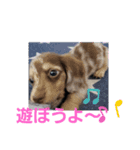 モカレオ.2（個別スタンプ：4）