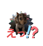 モカレオ.2（個別スタンプ：5）