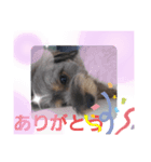 モカレオ.2（個別スタンプ：8）
