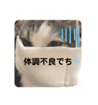 豆乳と書いて、ソイと読みます。3（個別スタンプ：14）