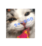 豆乳と書いて、ソイと読みます。3（個別スタンプ：17）