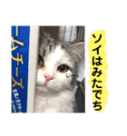 豆乳と書いて、ソイと読みます。3（個別スタンプ：21）