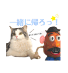 豆乳と書いて、ソイと読みます。3（個別スタンプ：23）