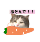 豆乳と書いて、ソイと読みます。3（個別スタンプ：24）