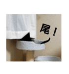 双子の黒猫、心春＆ナナの日常生活スタンプ（個別スタンプ：11）