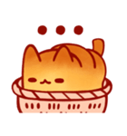 バスケット世界Bread cat（個別スタンプ：1）