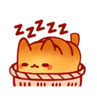 バスケット世界Bread cat（個別スタンプ：5）