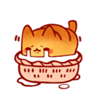 バスケット世界Bread cat（個別スタンプ：6）