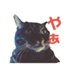 しもむら家の愉快な仲間たち（個別スタンプ：2）