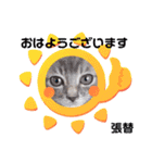 張替ねこ（個別スタンプ：1）