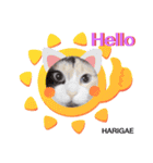 張替ねこ（個別スタンプ：2）
