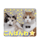 張替ねこ（個別スタンプ：5）
