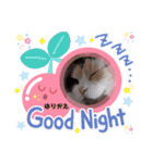張替ねこ（個別スタンプ：7）
