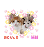 張替ねこ（個別スタンプ：12）