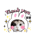 張替ねこ（個別スタンプ：14）