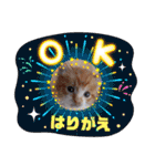 張替ねこ（個別スタンプ：16）