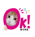 張替ねこ（個別スタンプ：18）