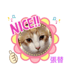 張替ねこ（個別スタンプ：28）