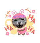 張替ねこ（個別スタンプ：29）