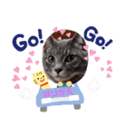 張替ねこ（個別スタンプ：30）