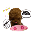モアナとアプモナのスタンプ（個別スタンプ：11）
