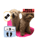 モアナとアプモナのスタンプ（個別スタンプ：16）