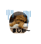 モアナとアプモナのスタンプ（個別スタンプ：21）
