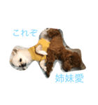 くう＆まう（個別スタンプ：4）