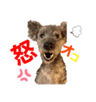 マーチくんとモモちゃん♡（個別スタンプ：6）