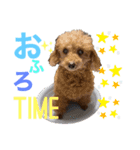 マーチくんとモモちゃん♡（個別スタンプ：10）