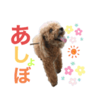 マーチくんとモモちゃん♡（個別スタンプ：14）