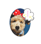 Podle Bom（個別スタンプ：2）