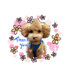 Podle Bom（個別スタンプ：3）