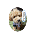 Podle Bom（個別スタンプ：5）