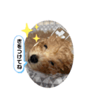 Podle Bom（個別スタンプ：7）