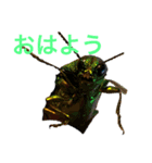 イモ虫ヤロー（個別スタンプ：2）