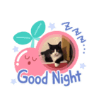 pan0812（個別スタンプ：3）