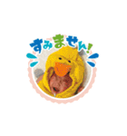 走れ！麦彦くんスタンプ！！祝3ヶ月（個別スタンプ：16）