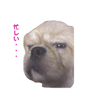 えるのすたんぷ②（個別スタンプ：4）