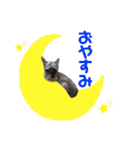 HappyCheese2020（個別スタンプ：2）